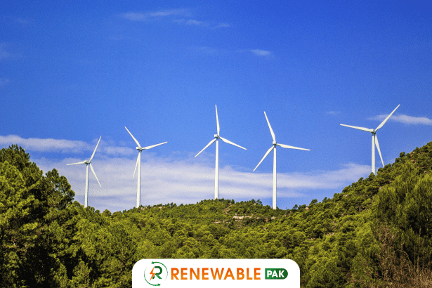 Solar Surges Ahead While Onshore Wind Faces Challenges