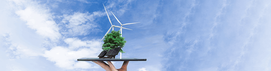 Invest In Renewable Energy