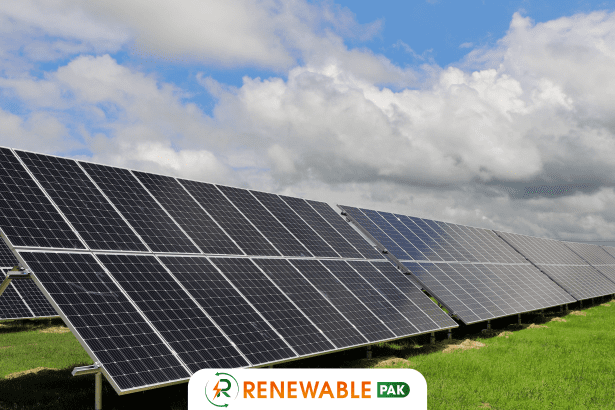 LONGi Dual Glass penal